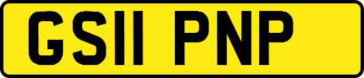 GS11PNP