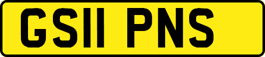 GS11PNS