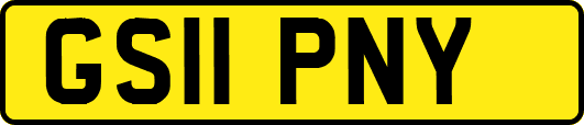 GS11PNY