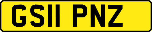 GS11PNZ