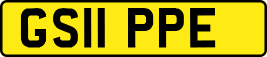GS11PPE