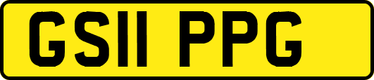GS11PPG