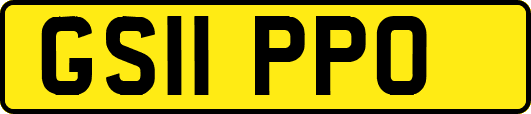 GS11PPO