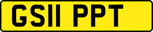 GS11PPT