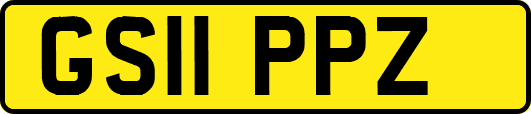 GS11PPZ