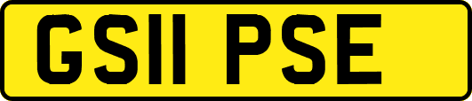 GS11PSE