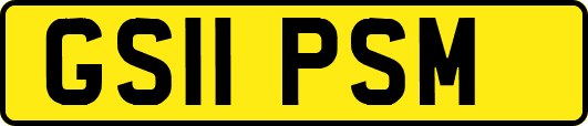 GS11PSM