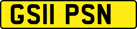 GS11PSN