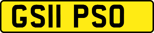 GS11PSO