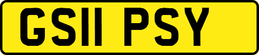 GS11PSY