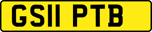 GS11PTB