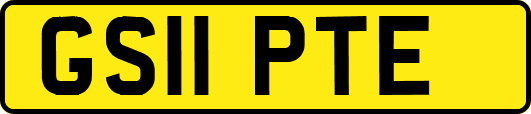 GS11PTE