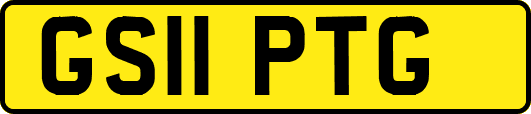 GS11PTG