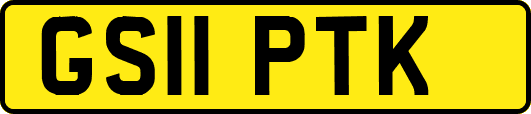 GS11PTK