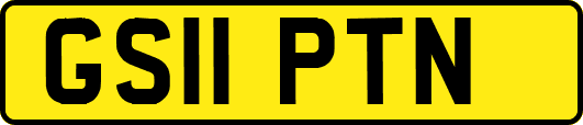 GS11PTN