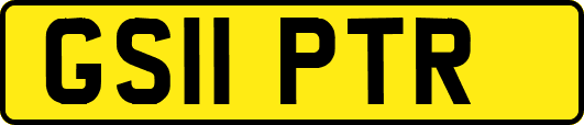 GS11PTR