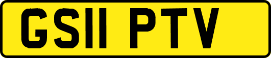 GS11PTV