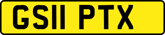 GS11PTX