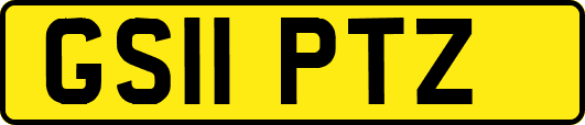 GS11PTZ