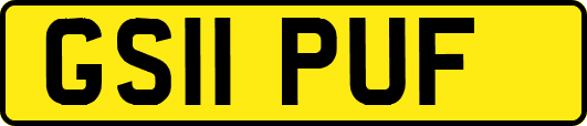 GS11PUF