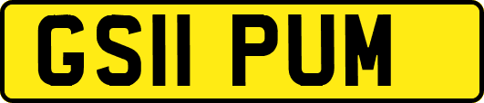 GS11PUM