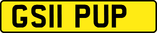 GS11PUP