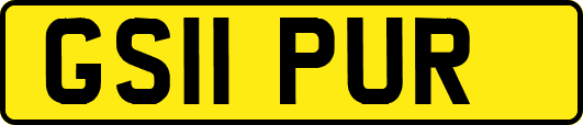 GS11PUR