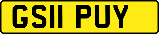 GS11PUY