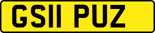 GS11PUZ