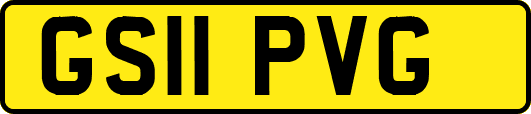 GS11PVG