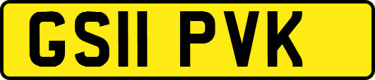 GS11PVK