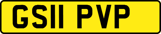 GS11PVP