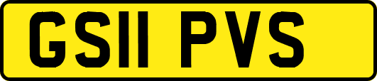 GS11PVS