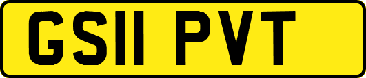GS11PVT