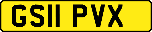 GS11PVX