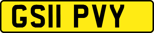GS11PVY