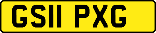 GS11PXG