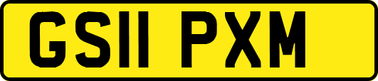GS11PXM