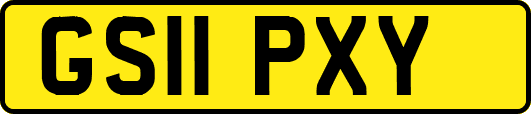 GS11PXY