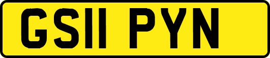 GS11PYN