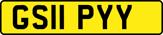 GS11PYY