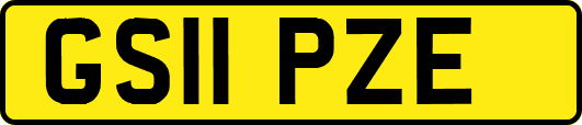 GS11PZE