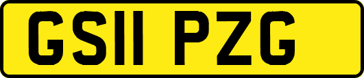 GS11PZG