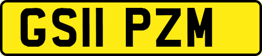GS11PZM