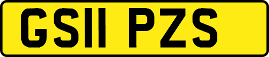 GS11PZS
