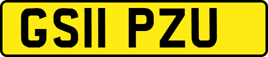 GS11PZU