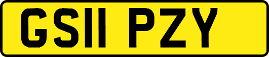 GS11PZY