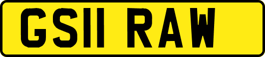 GS11RAW