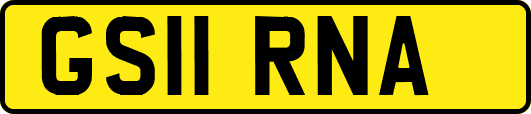 GS11RNA