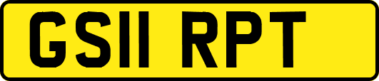 GS11RPT